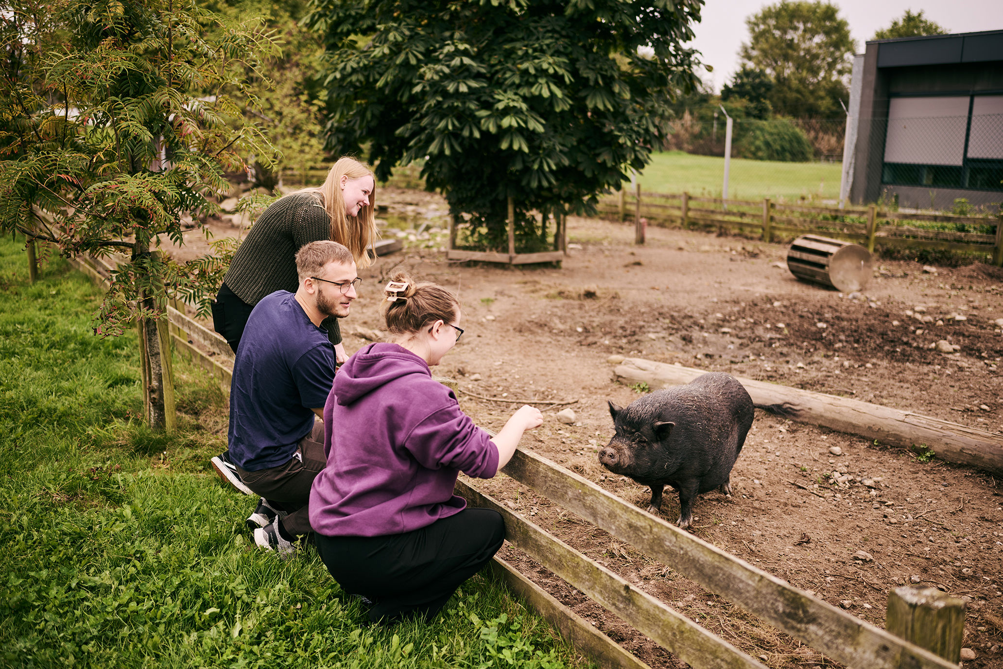 I Hansenbergs zoo er der også små hængebugsvin, og eleverne på uddannelserne i Vranderup bruger ofte pauserne til at se til dyrene.