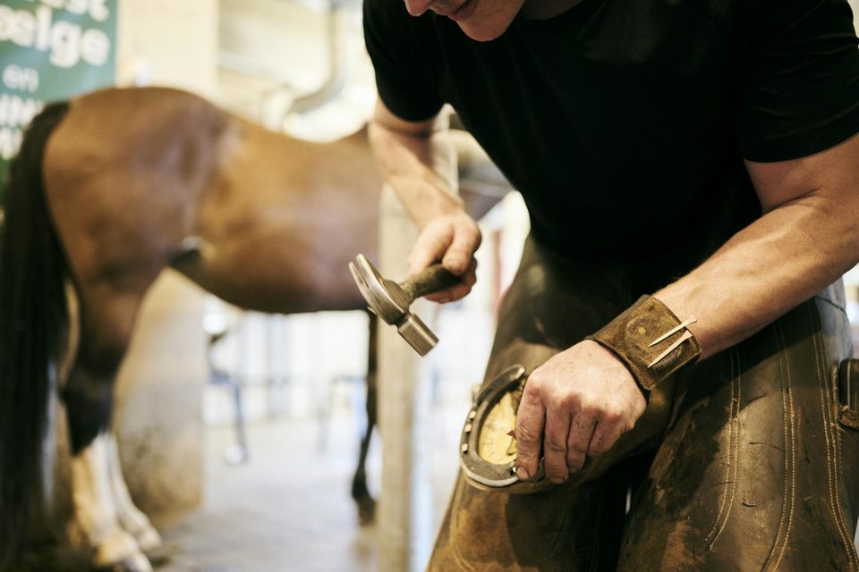 En lærling på uddannelsen til beslagsmed er ved at sømme en sko fast på hestens hov.